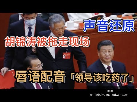 郑钦文展望,连续六败,喜悦未减,意甲直播,意甲直播平台,意甲直播App,意甲直播下载
