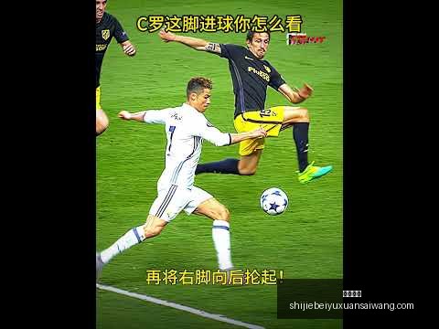 久尔杰维奇,述职后归队,精英营全新,意甲直播,意甲直播平台,意甲直播App,意甲直播下载