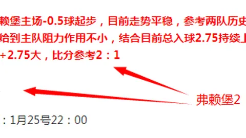 “鲁尼观点：利物浦夺冠潜力不容忽视，维拉出色表现备受瞩目！”